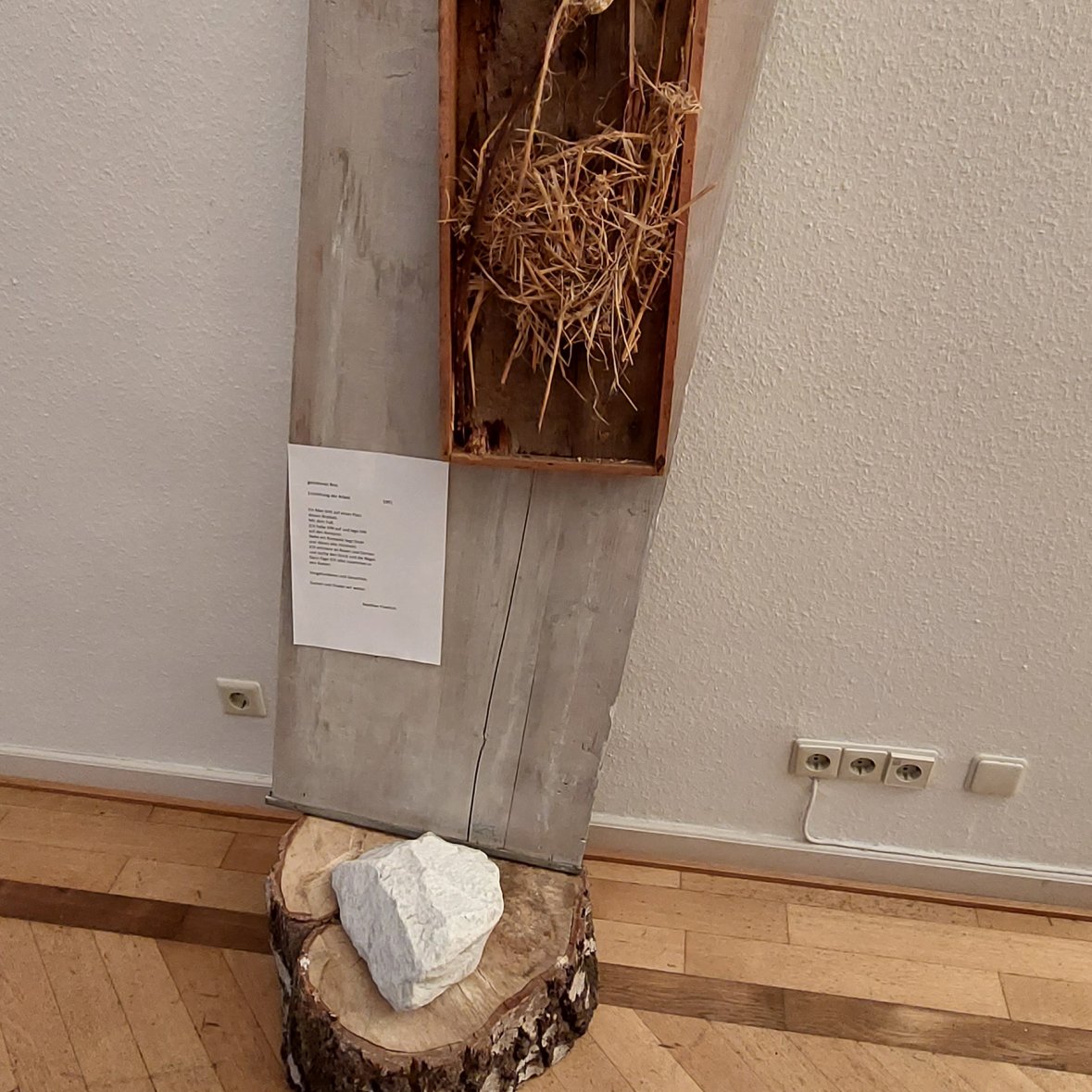 Impressionen Museumsnacht 2023